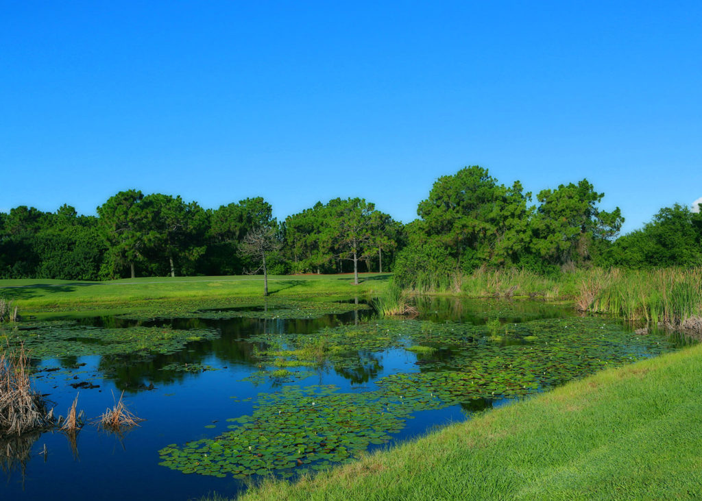 Long Marsh Golf Course