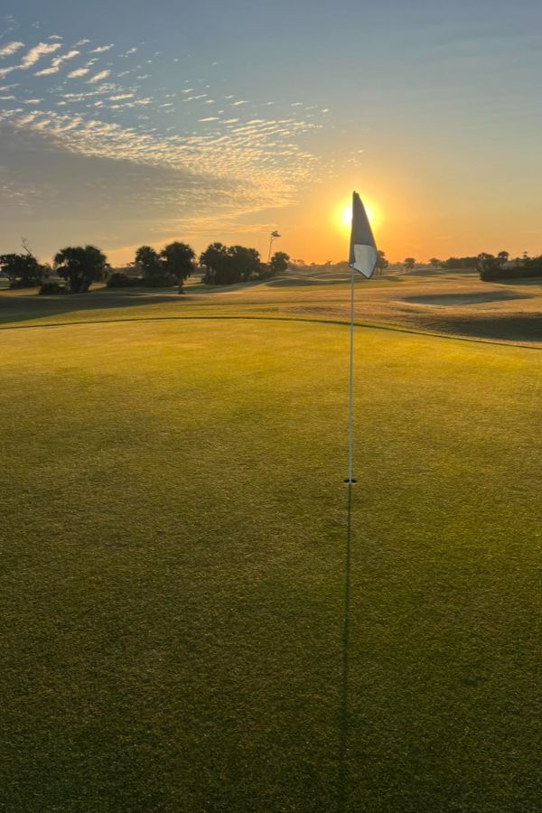 495355952 1274179274717574 3248420144287565038 n (1)