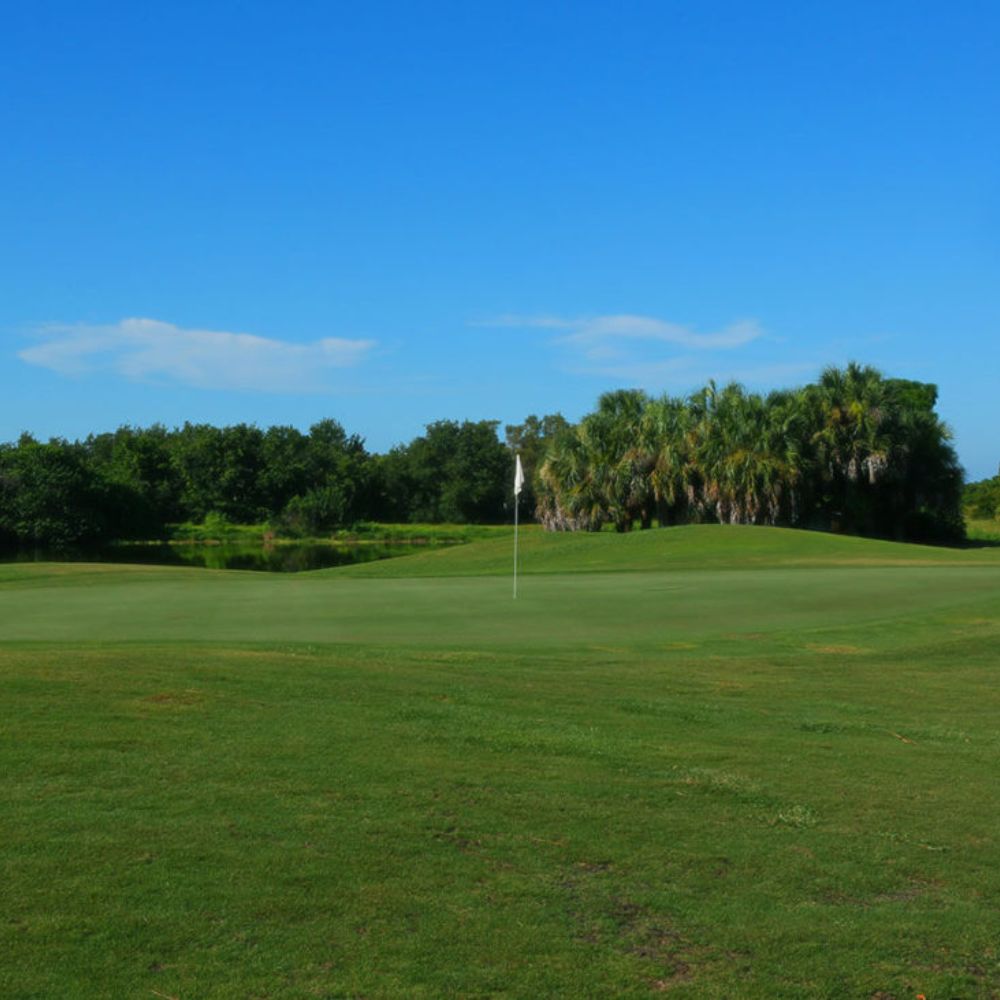 Tournament image 1024x731 (1)